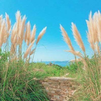 乐鱼官网手机版手机app下载截图