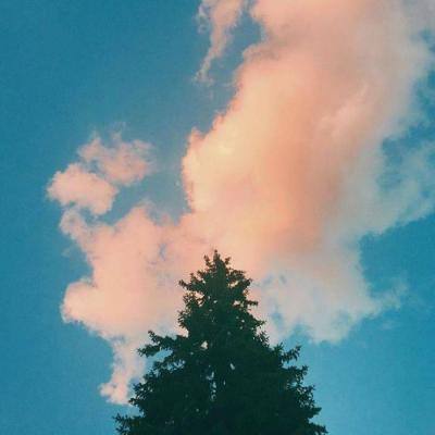 乐鱼体育app下载