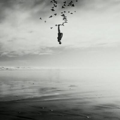 欢迎使用乐鱼App