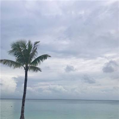 天博国际线上平台官网下载截图