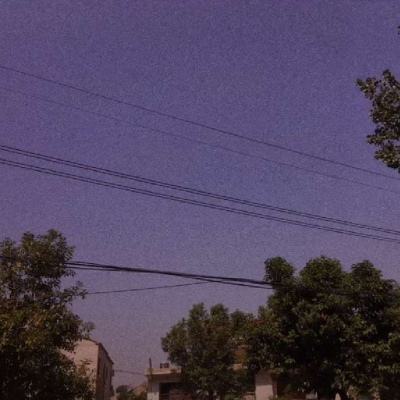 一肖三码下载手机版